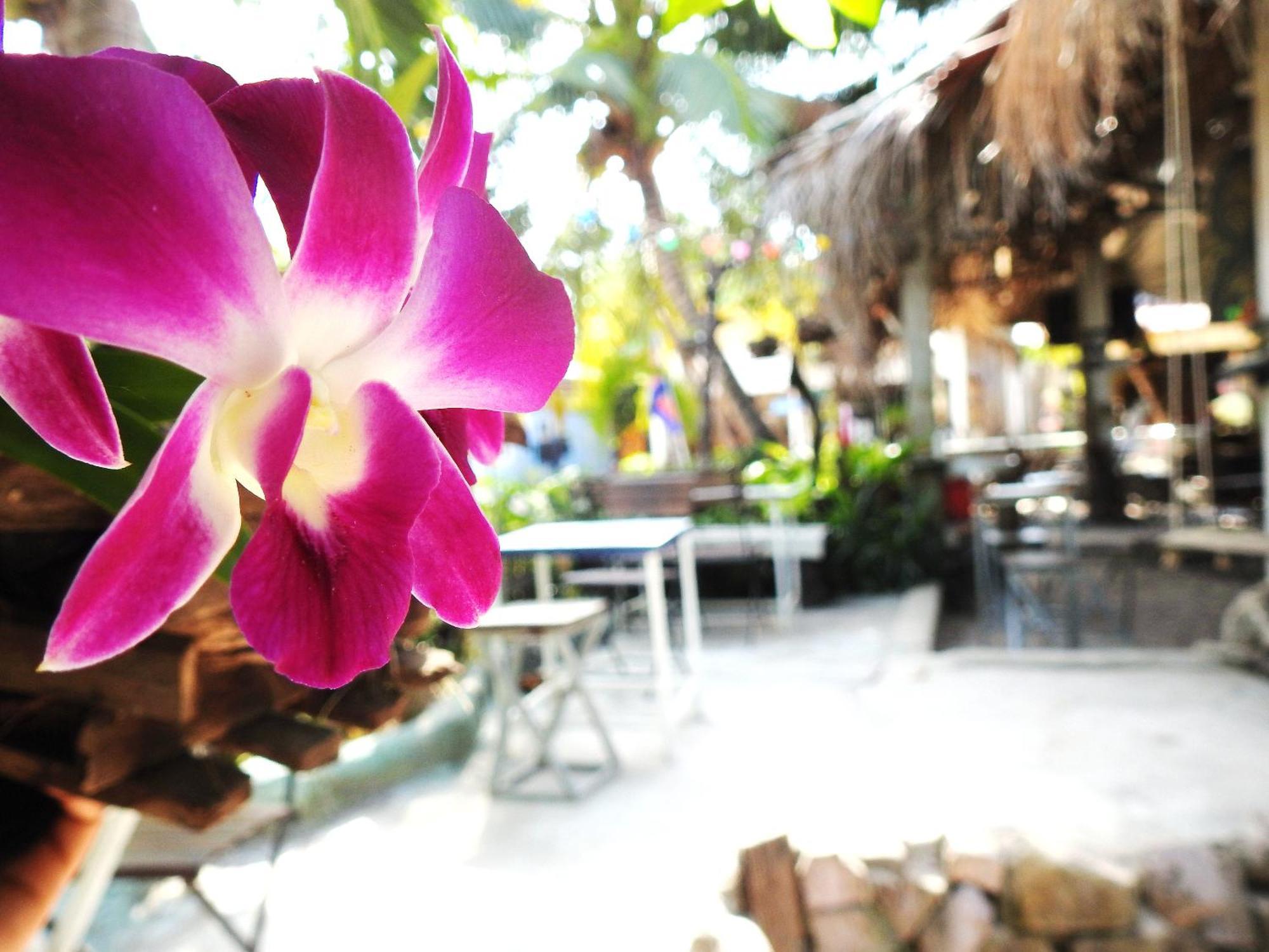 Hostel Spicy23 - M' Pai Bay Preăh Sihanŭk Zewnętrze zdjęcie